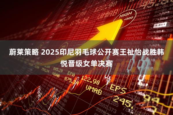 蔚莱策略 2025印尼羽毛球公开赛王祉怡战胜韩悦晋级女单决赛