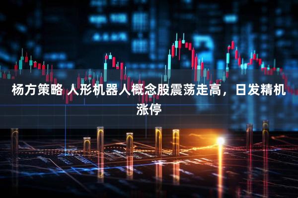 杨方策略 人形机器人概念股震荡走高，日发精机涨停