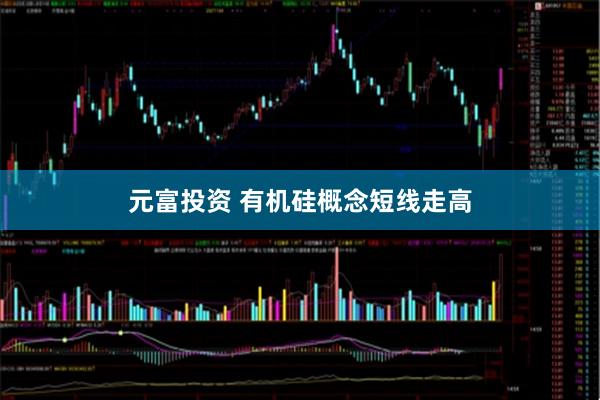 元富投资 有机硅概念短线走高