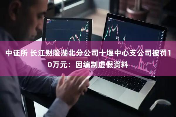 中证所 长江财险湖北分公司十堰中心支公司被罚10万元：因编制虚假资料