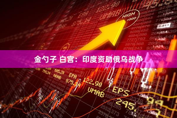 金勺子 白宫：印度资助俄乌战争