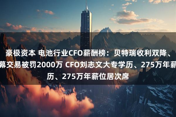 豪极资本 电池行业CFO薪酬榜：贝特瑞收利双降、董事长内幕交易被罚2000万 CFO刘志文大专学历、275万年薪位居次席