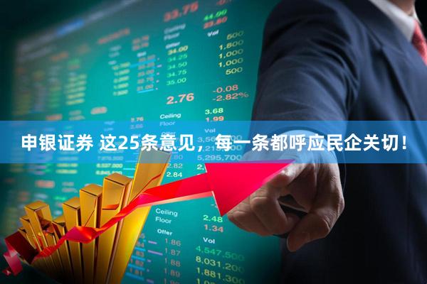 申银证券 这25条意见，每一条都呼应民企关切！