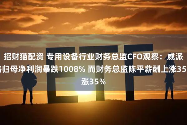 招财猫配资 专用设备行业财务总监CFO观察：威派格归母净利润暴跌1008% 而财务总监陈平薪酬上涨35%