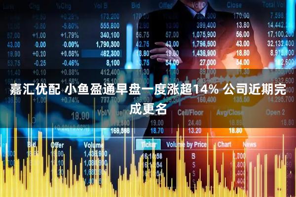 嘉汇优配 小鱼盈通早盘一度涨超14% 公司近期完成更名