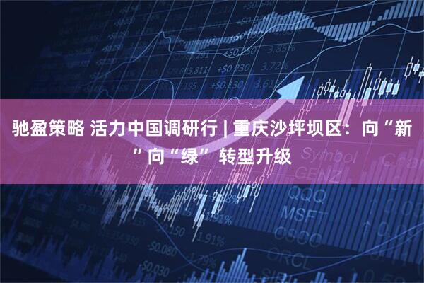 驰盈策略 活力中国调研行 | 重庆沙坪坝区：向“新”向“绿” 转型升级