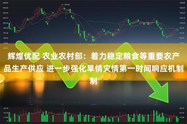 辉煌优配 农业农村部：着力稳定粮食等重要农产品生产供应 进一步强化旱情灾情第一时间响应机制