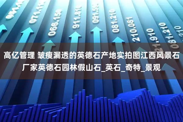 高亿管理 皱瘦漏透的英德石产地实拍图江西风景石厂家英德石园林假山石_英石_奇特_景观